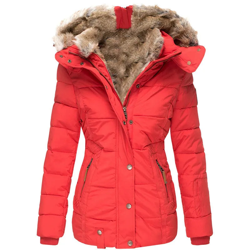 Fitted Hooded Puffer Jacket with Fur Collar Lining